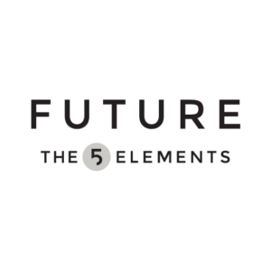 luxury skincare content marketing firms cosmetics marketers agency's Future 5 elements content marketing